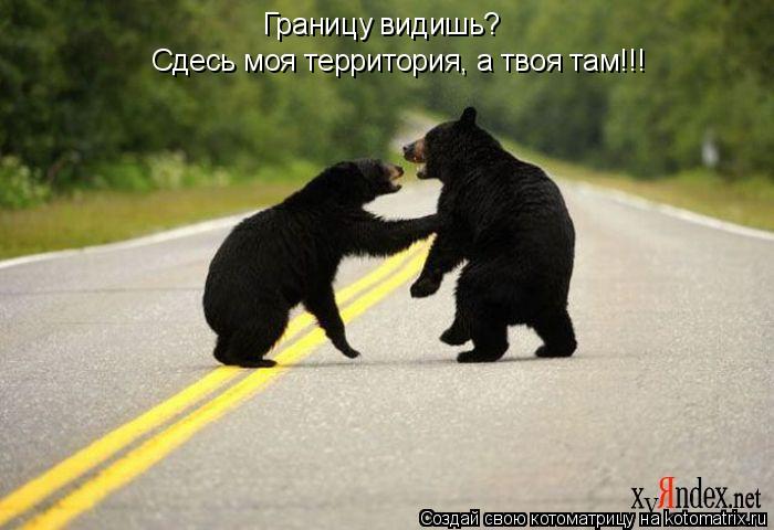 Границу видишь? Сдесь моя территория, а твоя там!!!... Котоматрица: Границу видишь? Сдесь моя территория, а твоя там!!!