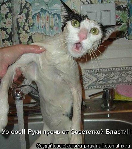 Уо-ооо!! Руки прочь от Советсткой Власти!!!... Котоматрица: Уо-ооо!! Руки прочь от Советсткой Власти!!!