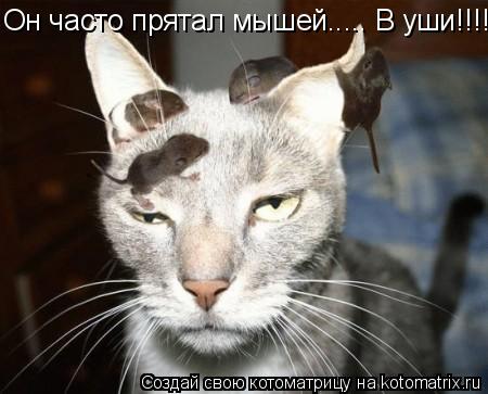 Он часто прятал мышей..... В уши!!!!... Котоматрица: Он часто прятал мышей..... В уши!!!!