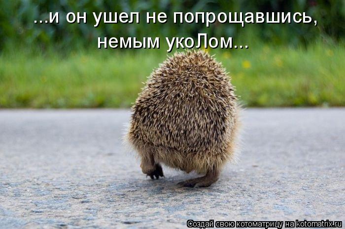 Котоматрица: ...и он ушел не попрощавшись, немым укоЛом...