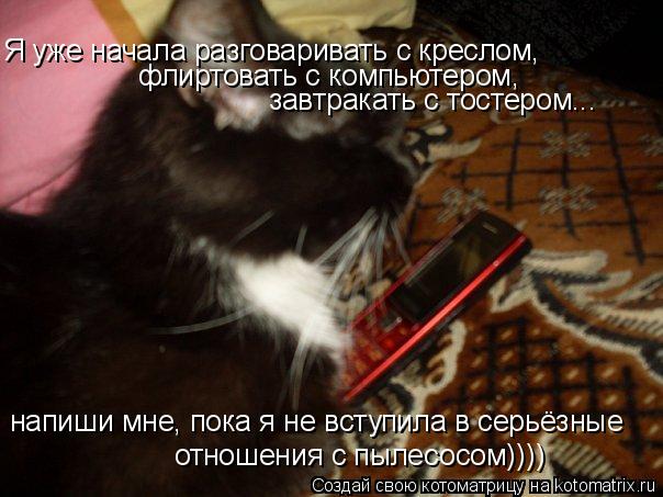 отношения с пылесосом)))) напиши мне, пока я не вступила в серьёзные завтракать с тостером... флиртов... Котоматрица: отношения с пылесосом)))) напиши мне, пока я не вступила в серьёзные завтракать с тостером... флиртовать с компьютером, Я уже начала разговари