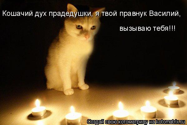 Кошачий дух прадедушки, я твой правнук Василий, вызываю тебя!!!... Котоматрица: Кошачий дух прадедушки, я твой правнук Василий, вызываю тебя!!!