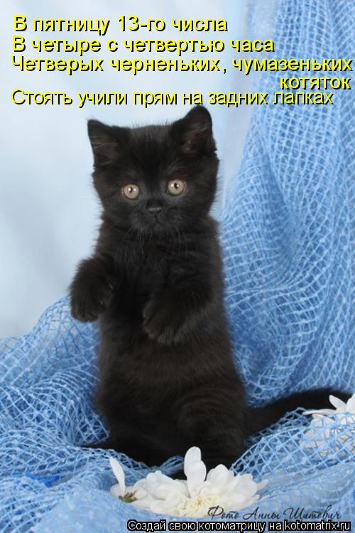 В пятницу 13-го числа В четыре с четвертью часа Четверых черненьких, чумазеньких котяток Стоять учили... Котоматрица: В пятницу 13-го числа В четыре с четвертью часа Четверых черненьких, чумазеньких котяток Стоять учили прям на задних лапках