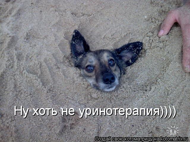 Ну хоть не уринотерапия))))... Котоматрица: Ну хоть не уринотерапия))))