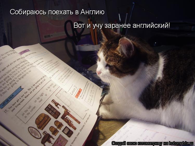 Собираюсь поехать в Англию Вот и учу заранее английский!... Котоматрица: Собираюсь поехать в Англию Вот и учу заранее английский!