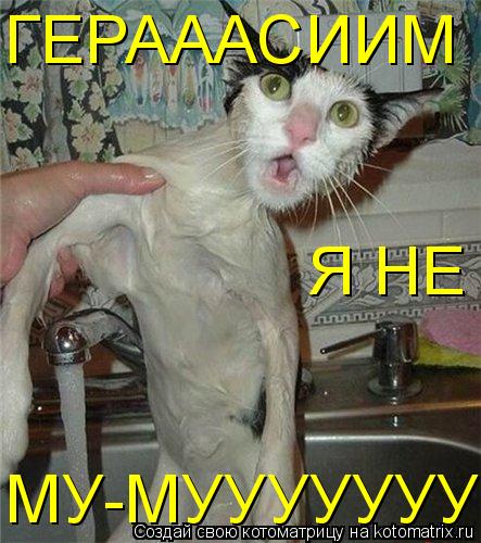 Котоматрица: ГЕРАААСИИМ Я НЕ  МУ-МУУУУУУУ