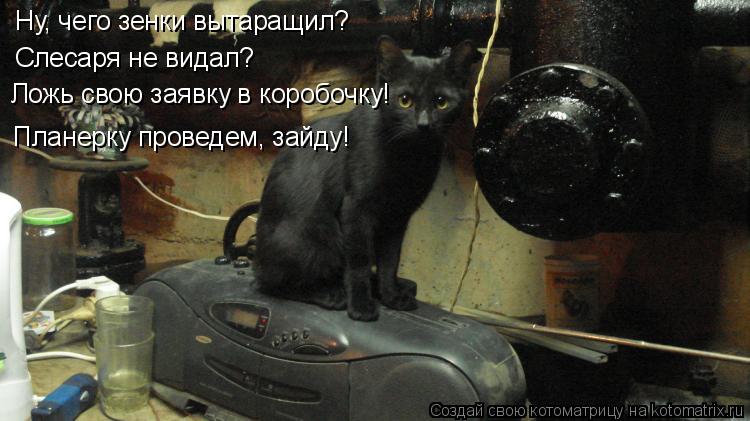 Котоматрица: Ну, чего зенки вытаращил?Ложь свою заявку в коробочку! Планерку проведем и зайду! Ну, чего зенки вытаращил? Слесаря не видал? Ложь свою заявк