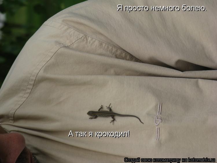 Котоматрица: Я просто немного болею. А так я крокодил!