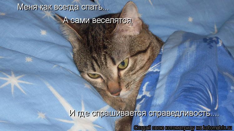 Котоматрица: Меня как всегда спать... А сами веселятся. И где спрашивается справедливость....
