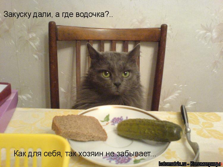 Закуску дали, а где водочка?.. Как для себя, так хозяин не забывает...... Котоматрица: Закуску дали, а где водочка?.. Как для себя, так хозяин не забывает...