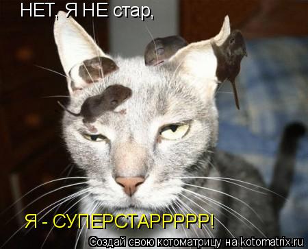 Котоматрица: НЕТ, Я НЕ стар, Я - СУПЕРСТАРРРРР!