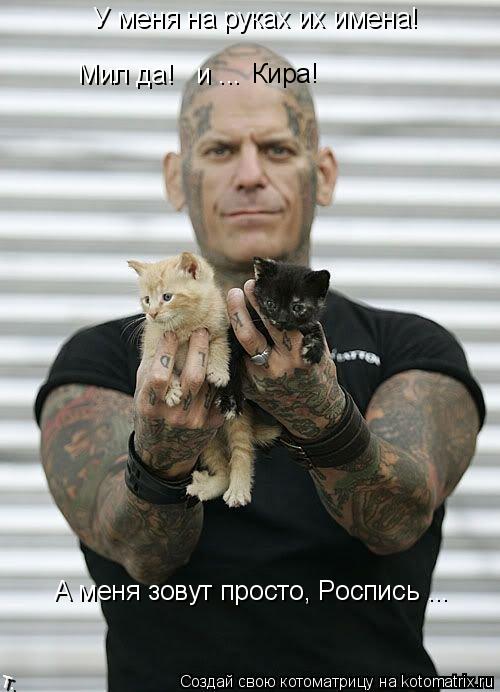 Котоматрица: У меня на руках их имена! Мил да!   и ...  Кира! А меня зовут просто, Роспись ...