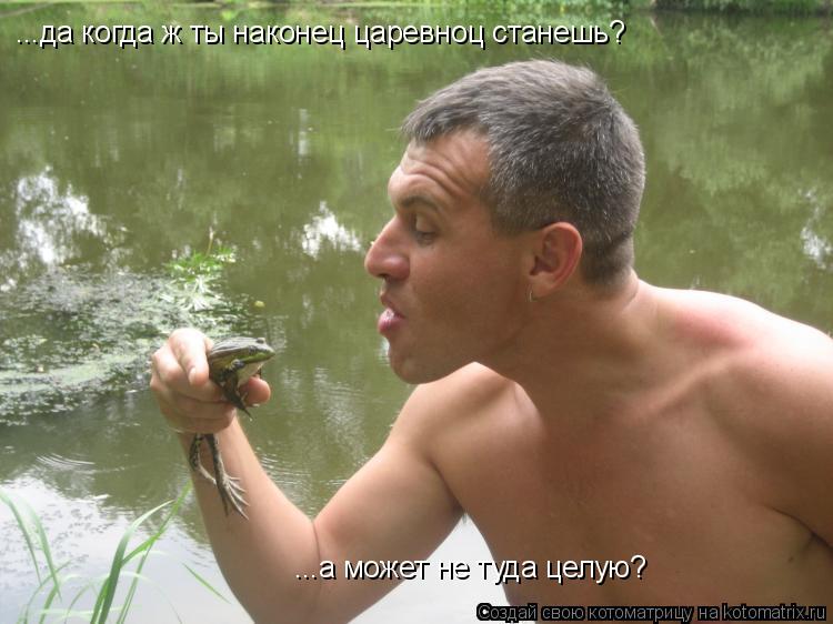 Котоматрица: ...да когда ж ты наконец царевноц станешь? ...а может не туда целую?