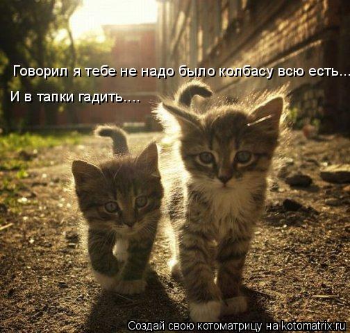 Котоматрица: Говорил я тебе не надо было колбасу всю есть... И в тапки гадить....
