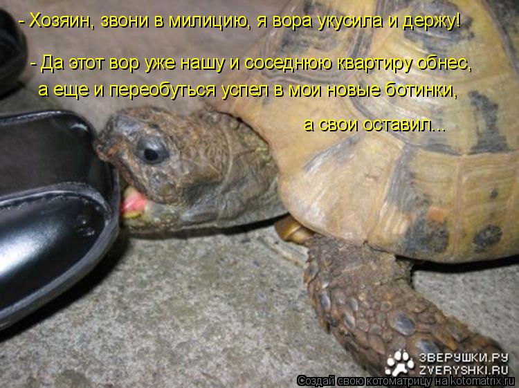 - Да этот вор уже нашу и соседнюю квартиру обнес, а еще и переобуться успел в мои новые ботинки, а ... Котоматрица: - Да этот вор уже нашу и соседнюю квартиру обнес, а еще и переобуться успел в мои новые ботинки, а свои оставил... - Хозяин, звони в милицию, я в