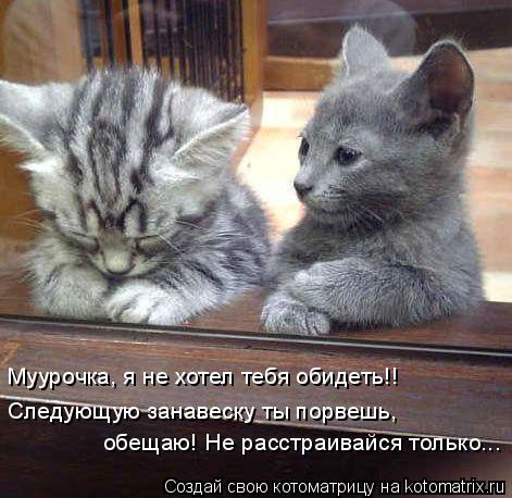 Муурочка, я не хотел тебя обидеть!! Следующую занавеску ты порвешь, обещаю! Не расстраивайся только..... Котоматрица: Муурочка, я не хотел тебя обидеть!! Следующую занавеску ты порвешь, обещаю! Не расстраивайся только...