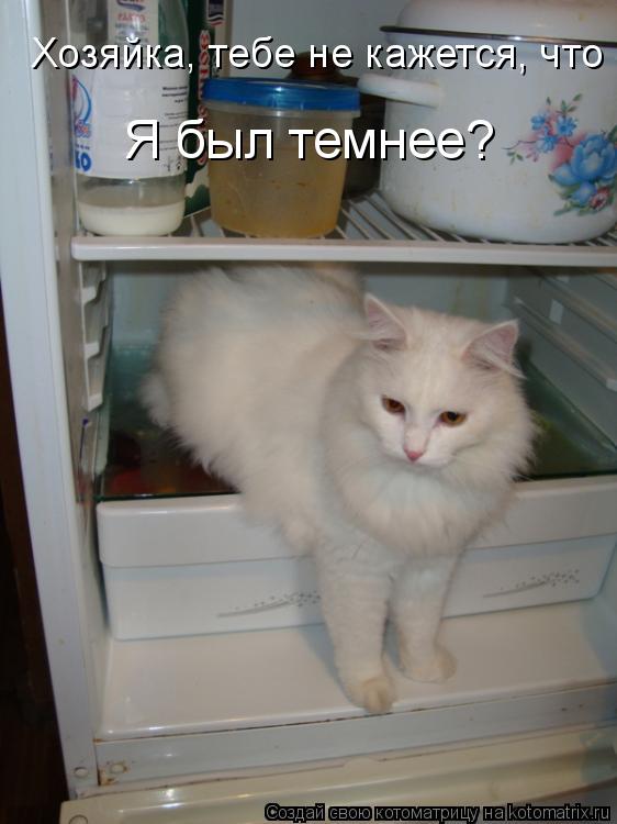 Котоматрица: Хозяйка, тебе не кажется, что  Я был темнее?
