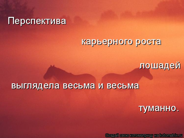 Котоматрица: Перспектива карьерного роста лошадей выглядела весьма и весьма туманно.