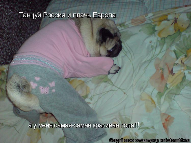 Котоматрица: Танцуй Россия и плачь Европа, а у меня самая-самая красивая попа!!! Танцуй Россия и плачь Европа,