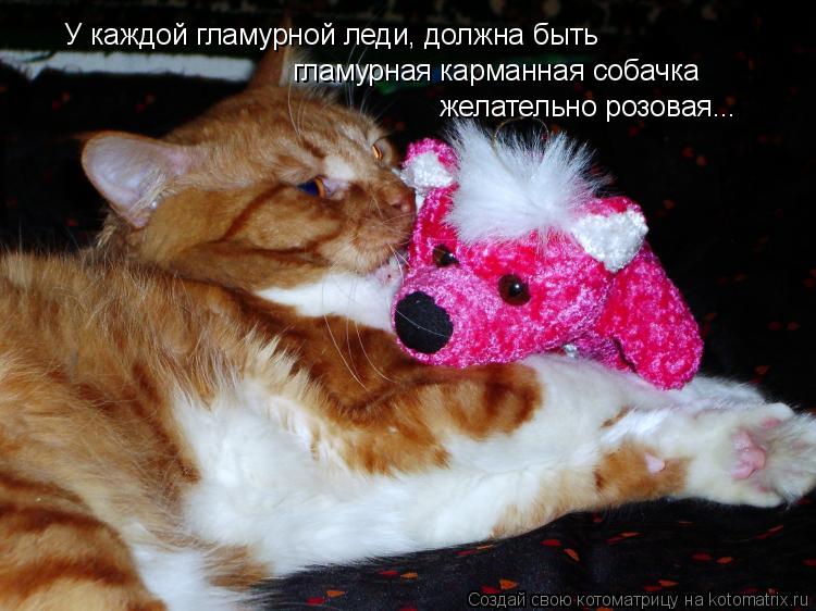 Котоматрица: У каждой гламурной леди, должна быть  гламурная карманная собачка желательно розовая...