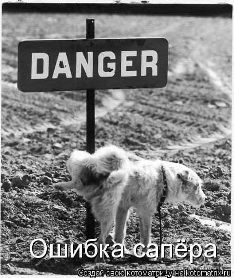 Котоматрица: Ошибка сапёра