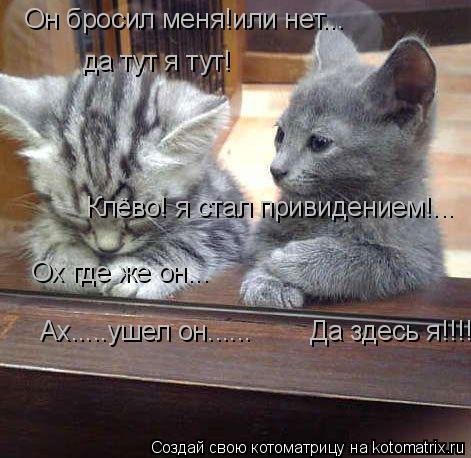 Котоматрица: Он бросил меня!или нет... да тут я тут! Ох где же он... Клёво! я стал привидением!... Ах.....ушел он......        Да здесь я!!!!