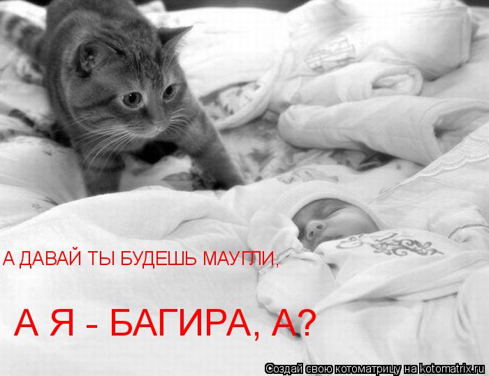 А ДАВАЙ ТЫ БУДЕШЬ МАУГЛИ, А Я - БАГИРА, А?... Котоматрица: А ДАВАЙ ТЫ БУДЕШЬ МАУГЛИ, А Я - БАГИРА, А?