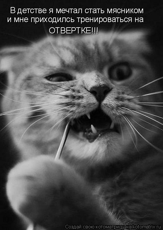 В детстве я мечтал стать мясником и мне приходилсь тренироваться на ОТВЕРТКЕ!!!... Котоматрица: В детстве я мечтал стать мясником и мне приходилсь тренироваться на ОТВЕРТКЕ!!!
