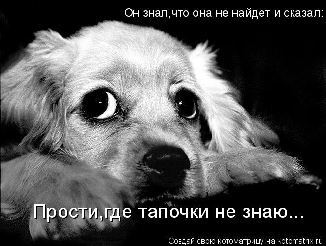 Прости,где тапочки не знаю... Он знал,что она не найдет и сказал:... Котоматрица: Прости,где тапочки не знаю... Он знал,что она не найдет и сказал: