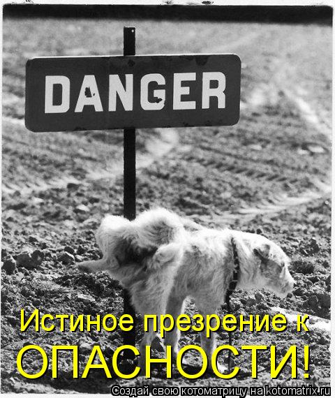 Истиное презрение к ОПАСНОСТИ!... Котоматрица: Истиное презрение к ОПАСНОСТИ!