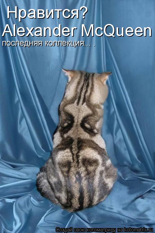 Нравится? Alexander McQueen последняя коллекция... .... Котоматрица: Нравится? Alexander McQueen последняя коллекция... .