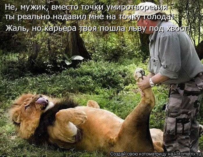 Не, мужик, вместо точки умиротворения ты реально надавил мне на точку голода! Жаль, но карьера твоя п... Котоматрица: Не, мужик, вместо точки умиротворения ты реально надавил мне на точку голода! Жаль, но карьера твоя пошла льву под хвост!