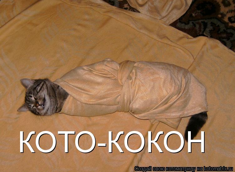 КОТО-КОКОН... Котоматрица: КОТО-КОКОН