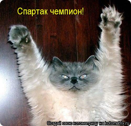 Спартак чемпион!... Котоматрица: Спартак чемпион!