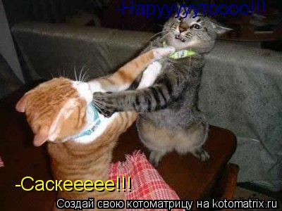 -Нарууууутоооо!!! -Саскеееее!!!... Котоматрица: -Нарууууутоооо!!! -Саскеееее!!!