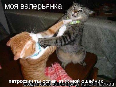 моя валерьянка петрофич ты ослеп эт ж мой ошейник... Котоматрица: моя валерьянка петрофич ты ослеп эт ж мой ошейник