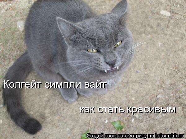 Колгейт симпли вайт как стать красивым... Котоматрица: Колгейт симпли вайт как стать красивым