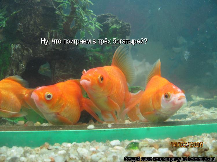 Ну, что поиграем в трёх богатырей?... Котоматрица: Ну, что поиграем в трёх богатырей?