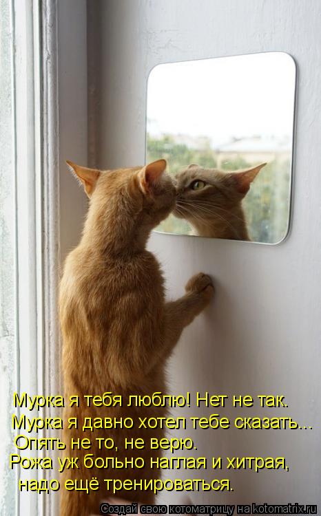 Котоматрица: Мурка я тебя люблю! Нет не так. Мурка я давно хотел тебе сказать... Опять не то, не верю. Рожа уж больно наглая и хитрая,  надо ещё тренироваться
