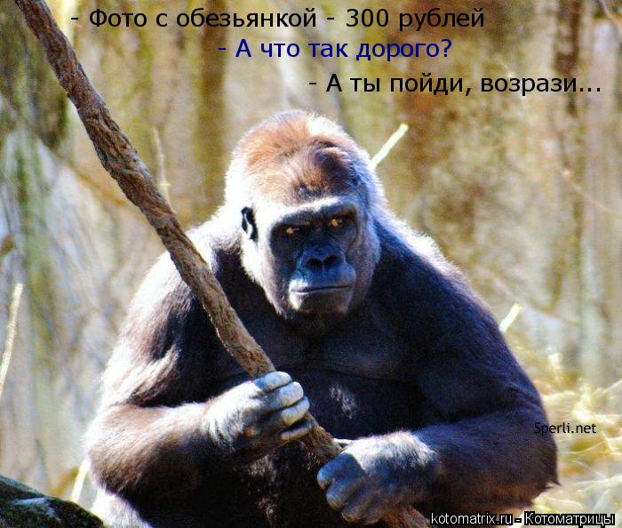 Котоматрица: - Фото с обезьянкой - 300 рублей - А что так дорого? - А ты пойди, возрази...