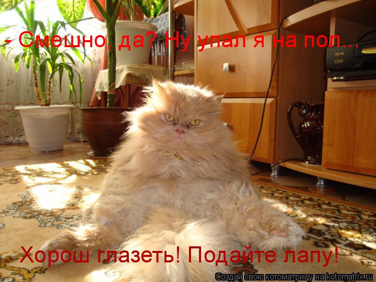 Котоматрица: - Смешно, да? Ну упал я на пол... Хорош глазеть! Подайте лапу!