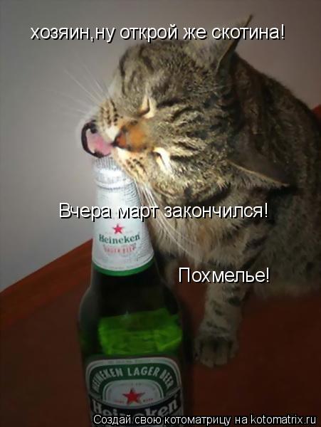 хозяин,ну открой же скотина! Вчера март закончился! Похмелье!... Котоматрица: хозяин,ну открой же скотина! Вчера март закончился! Похмелье!