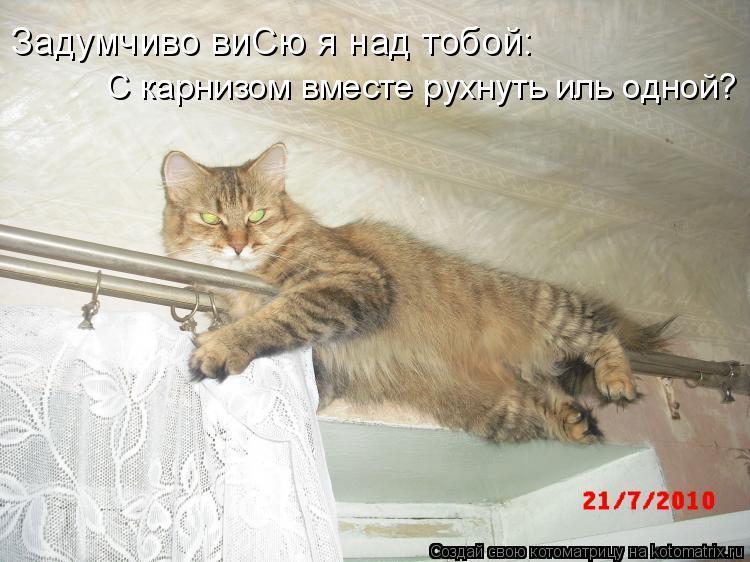 Задумчиво виСю я над тобой: С карнизом вместе рухнуть иль одной?... Котоматрица: Задумчиво виСю я над тобой: С карнизом вместе рухнуть иль одной?