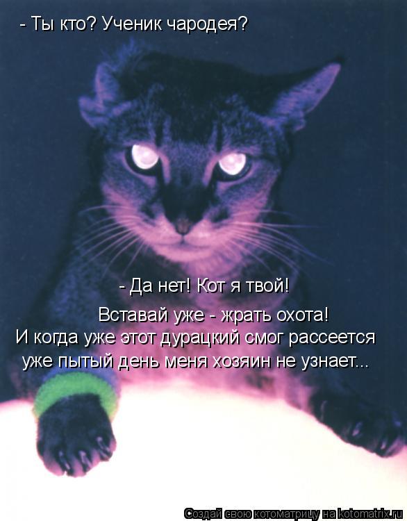- Ты кто? Ученик чародея? - Да нет! Кот я твой! Вставай уже - жрать охота! И когда уже этот дурацкий... Котоматрица: - Ты кто? Ученик чародея? - Да нет! Кот я твой! Вставай уже - жрать охота! И когда уже этот дурацкий смог рассеется уже пытый день меня хозяин не