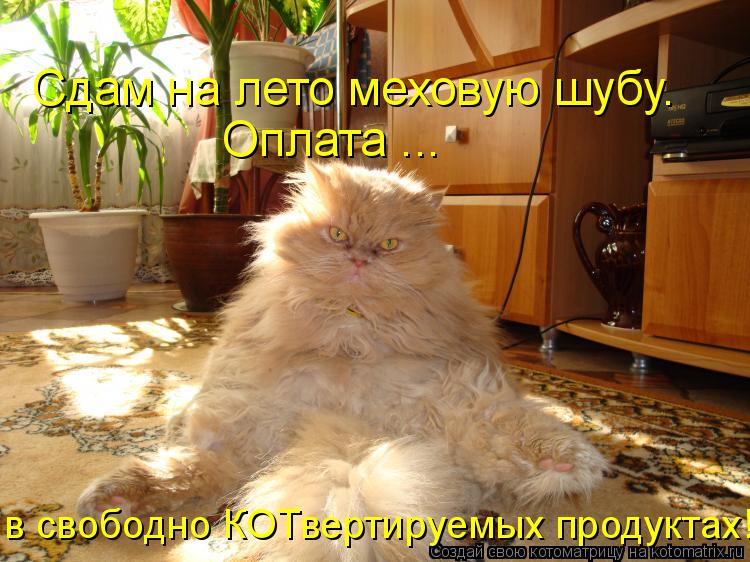 Котоматрица: Сдам на лето меховую шубу. в свободно КОТвертируемых продуктах! Оплата ...