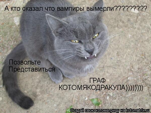 А кто сказал что вампиры вымерли????????? Позвольте Представиться ГРАФ КОТОМЯКОДРАКУЛА))))))))... Котоматрица: А кто сказал что вампиры вымерли????????? Позвольте Представиться ГРАФ КОТОМЯКОДРАКУЛА))))))))