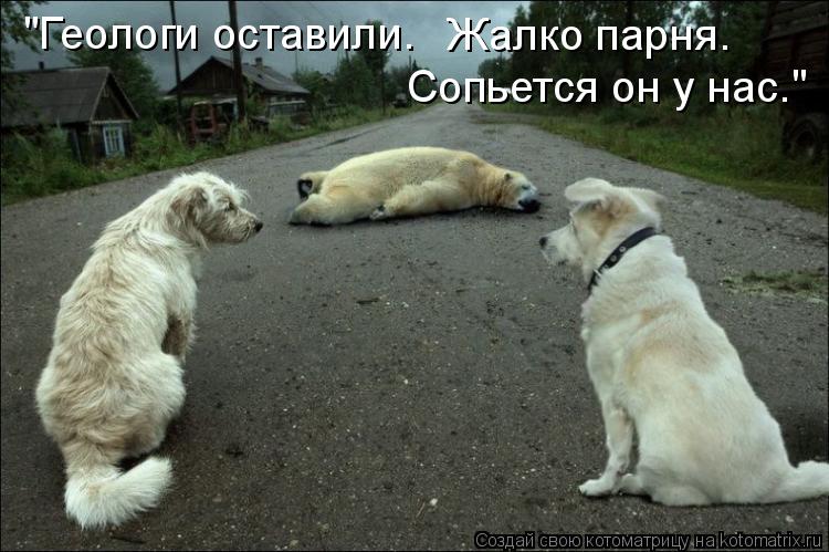 "Геологи оставили. Жалко парня. Сопьется он у нас."... Котоматрица: "Геологи оставили. Жалко парня. Сопьется он у нас."