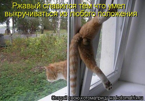Ржавый славился тем что умел выкручиваться из любого положения... Котоматрица: Ржавый славился тем что умел выкручиваться из любого положения