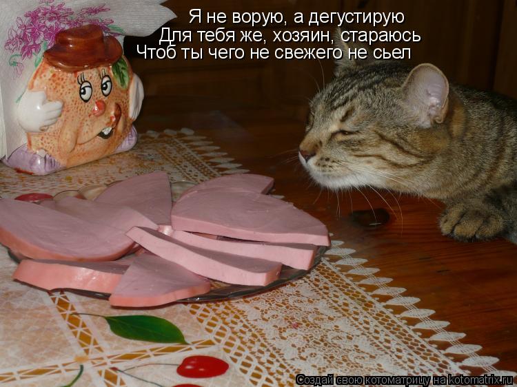 Я не ворую, а дегустирую Для тебя же, хозяин, стараюсь Чтоб ты чего не свежего не сьел... Котоматрица: Я не ворую, а дегустирую Для тебя же, хозяин, стараюсь Чтоб ты чего не свежего не сьел