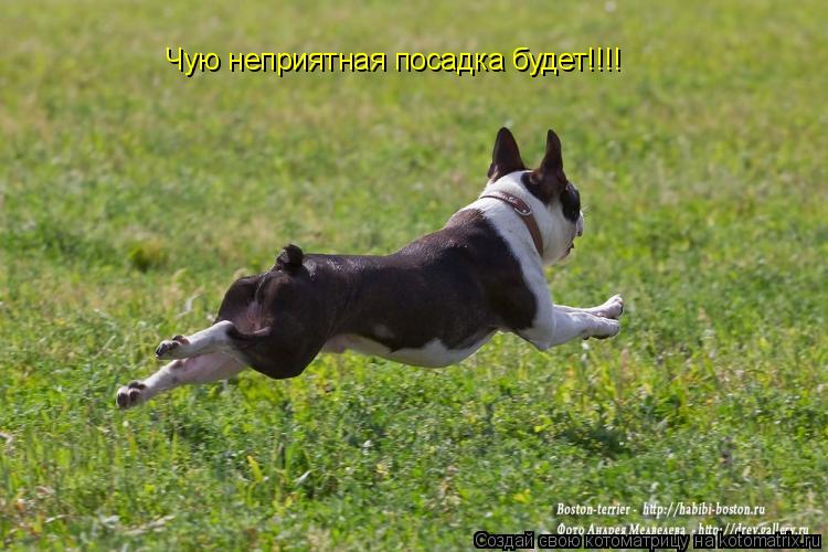 Котоматрица: Чую неприятная посадка будет!!!!